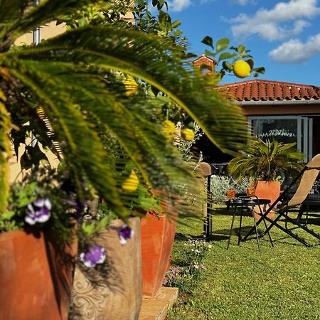 Villa Mihaela Fažana Εξωτερικό φωτογραφία